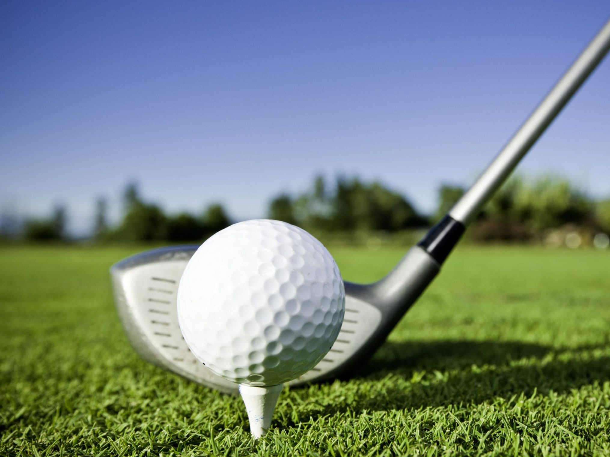 Dreadnaughts Roll to Dexter Golf Invite Title