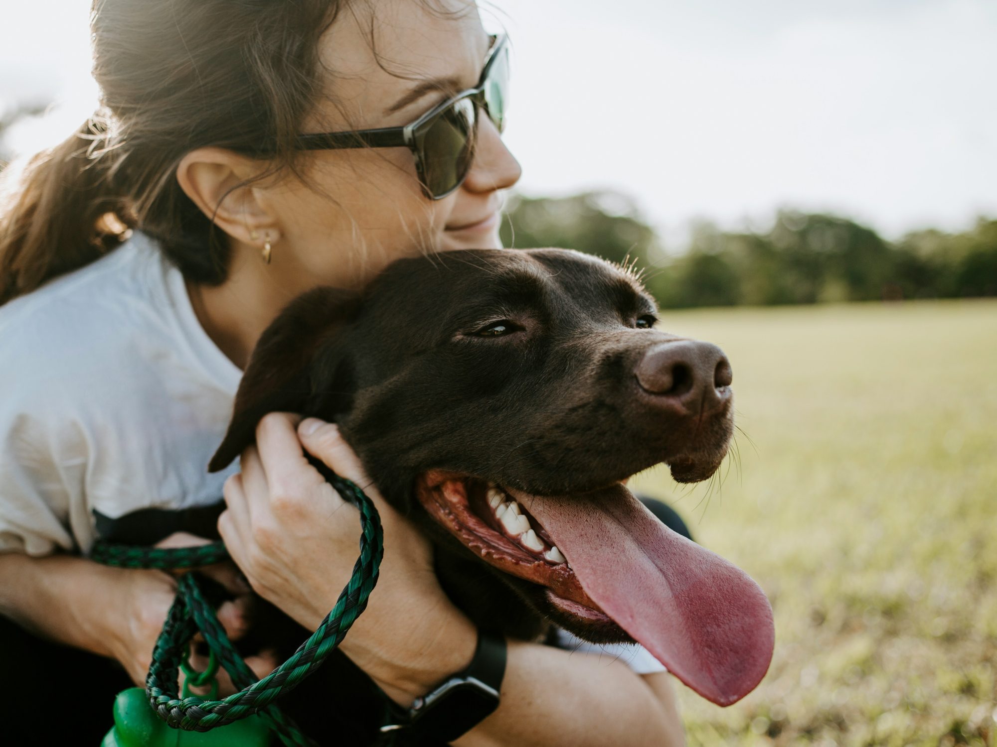 Menards Hosting Pet Supplies Drive Through September
