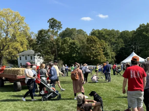 42nd Annual Webster Fall Festival  
