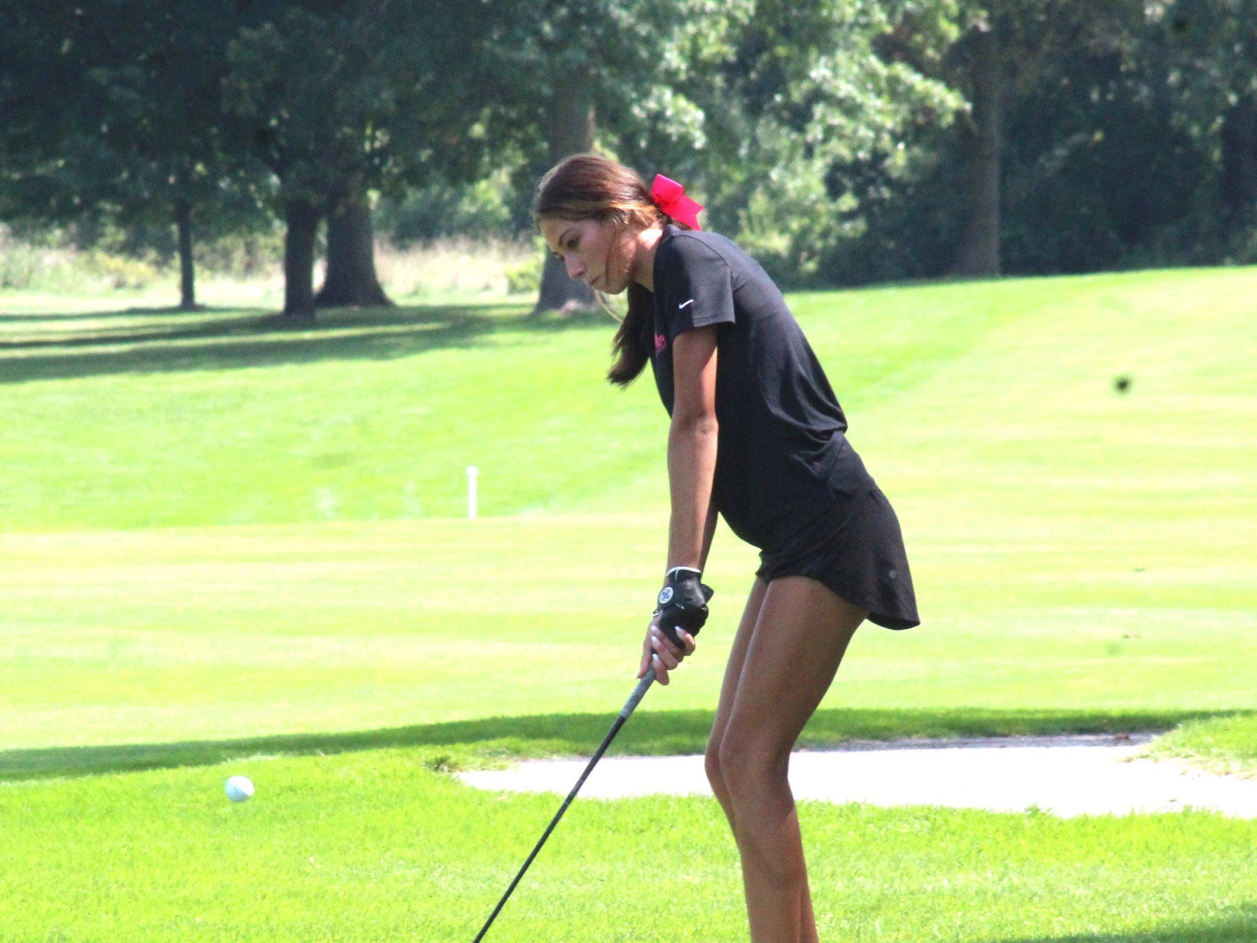 Dexter Golfers Sweep Pair in SEC Opener