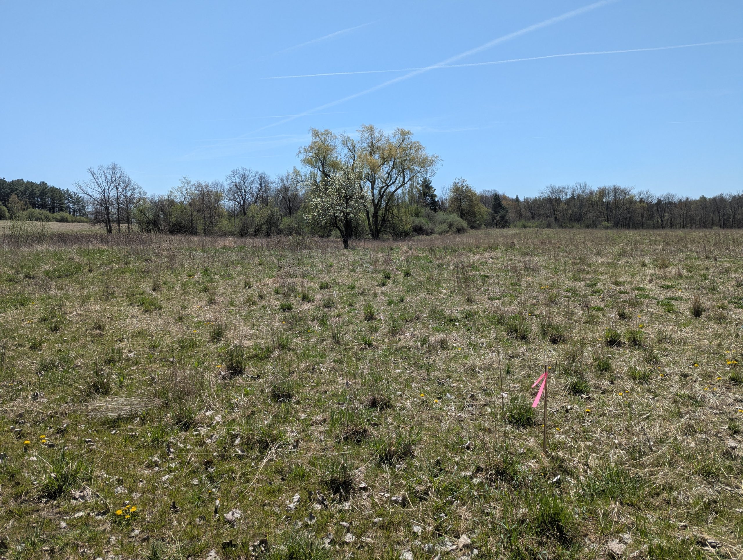 Scio Township Completes Land Preservation Project