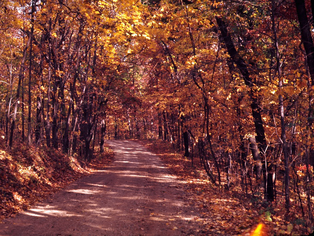 FALL WATERLOO HISTORY HIKE