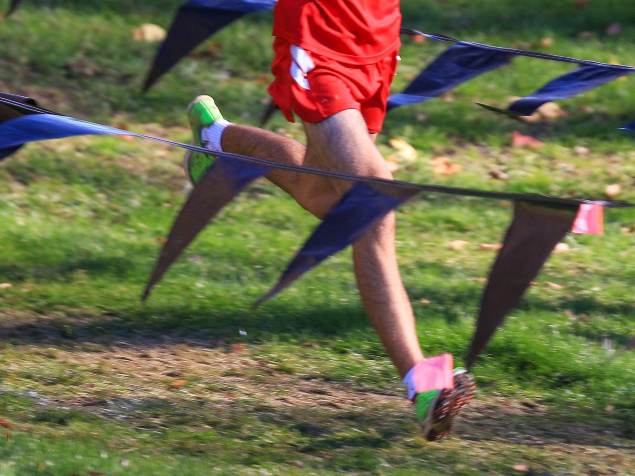 Milan Runners Compete at Father Gabriel Richard Invitational