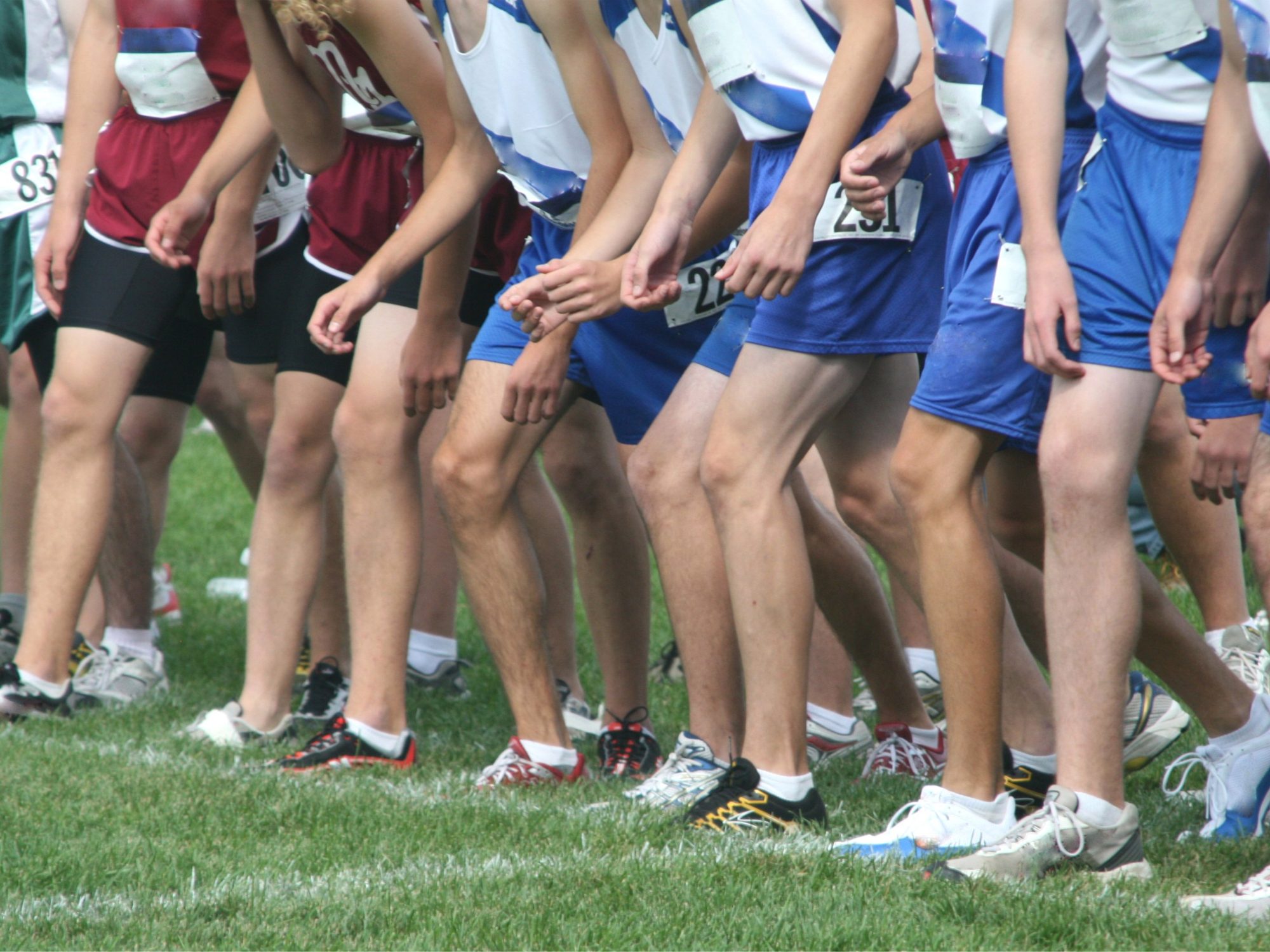 Saline XC Teams Second at Second SEC Jamboree
