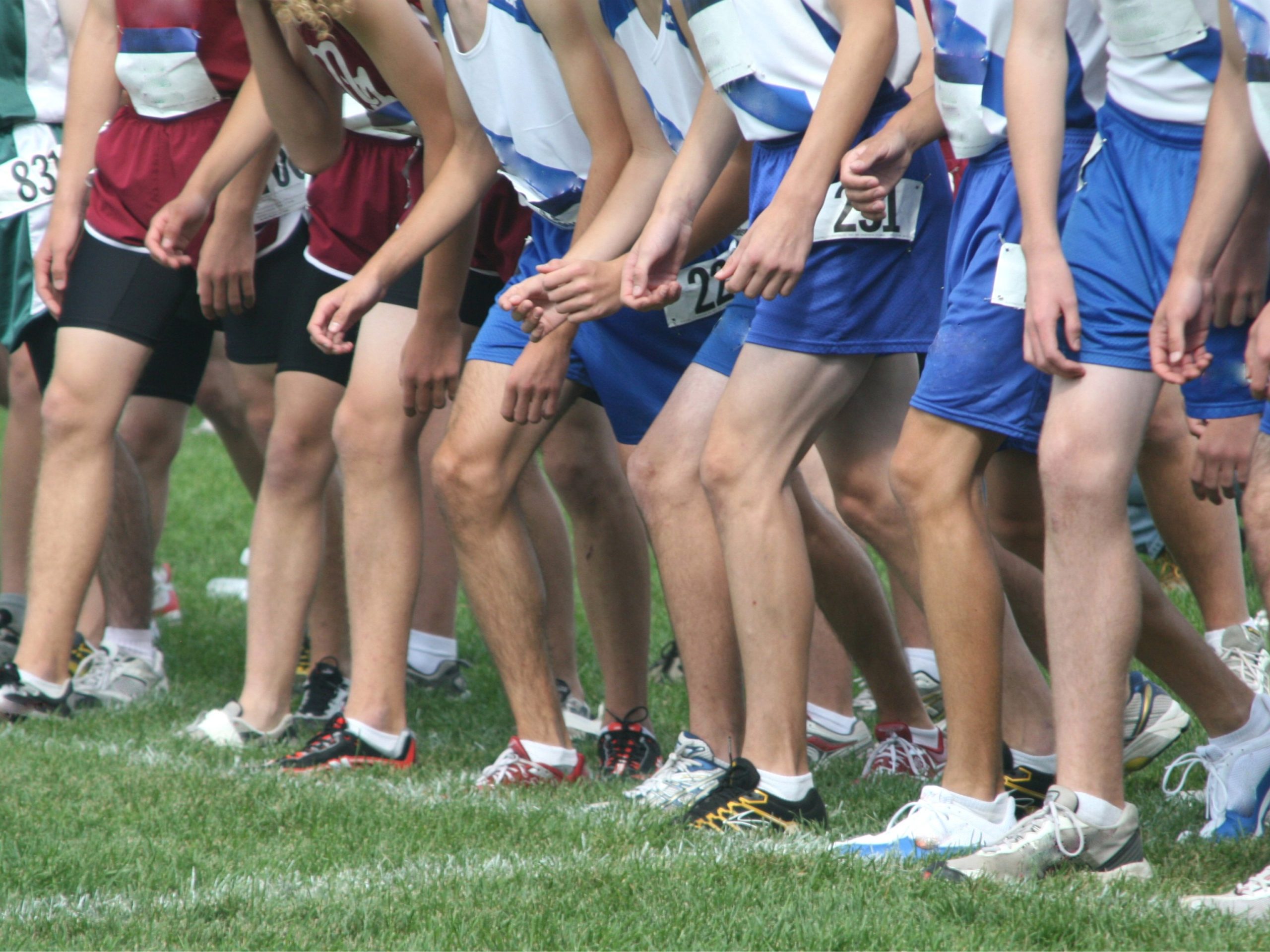 Saline XC Teams Second at Second SEC Jamboree