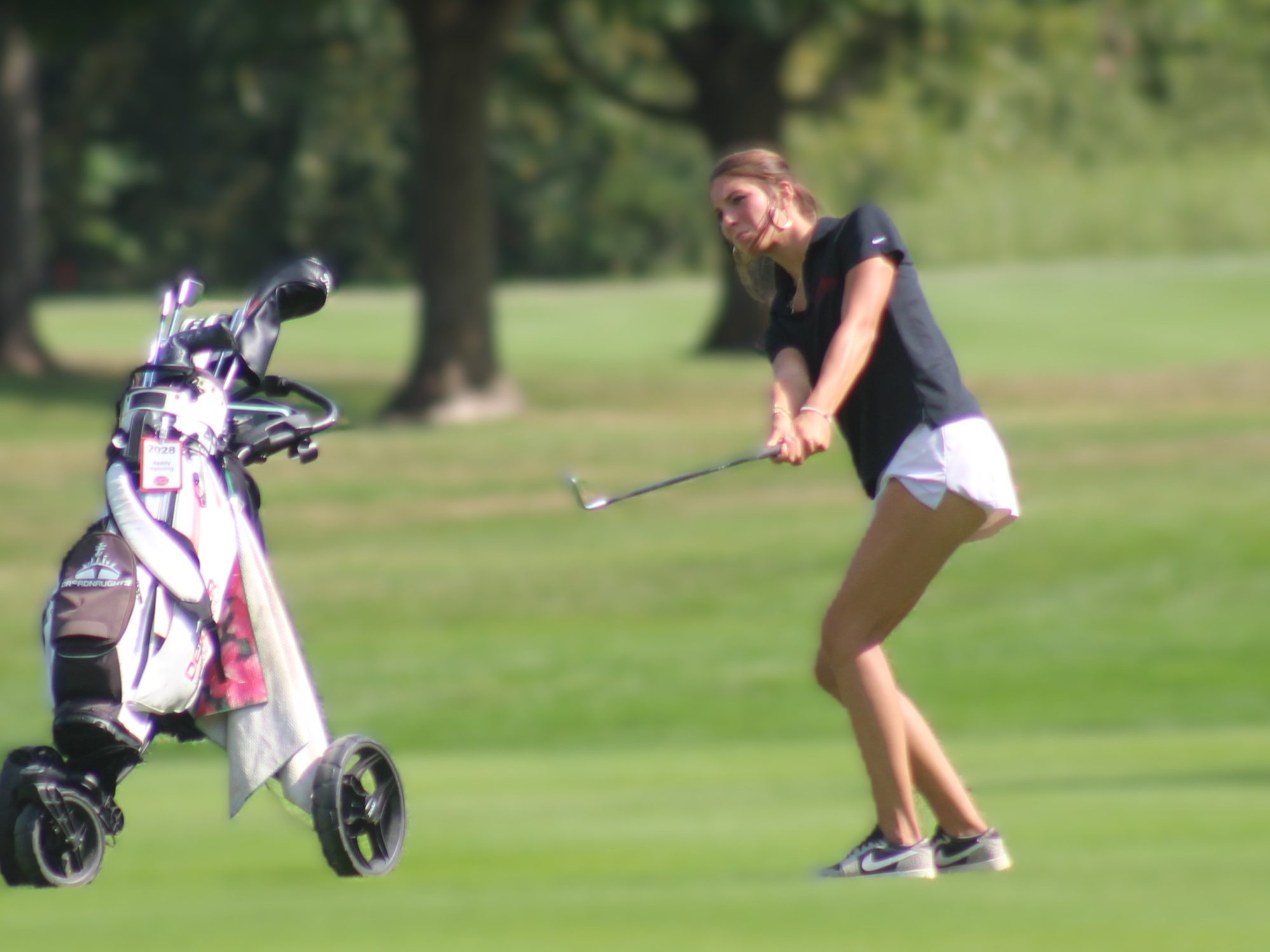 Dexter Golfers Finished Perfect in SEC
