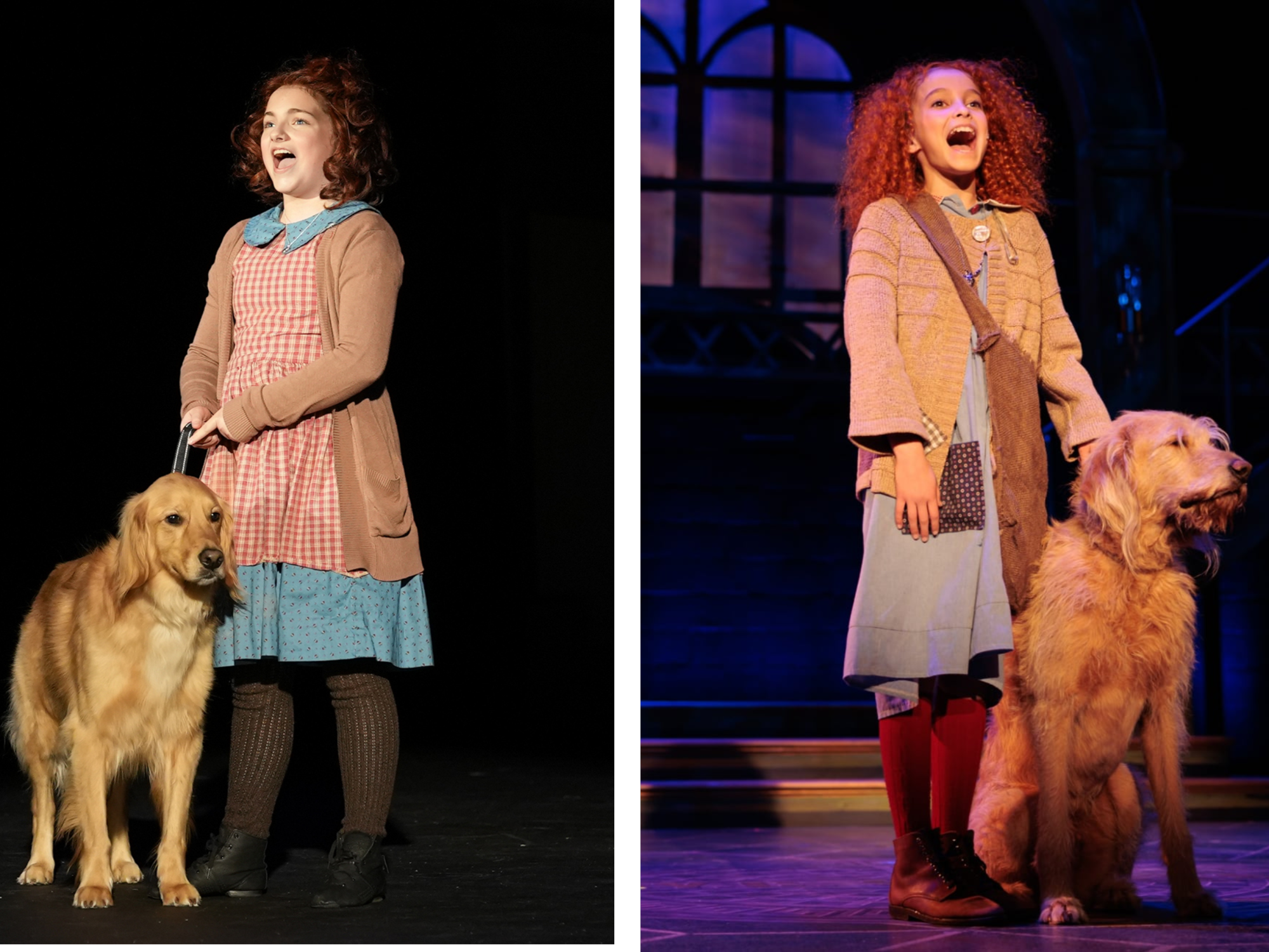 The Two “Annies” of Washtenaw County