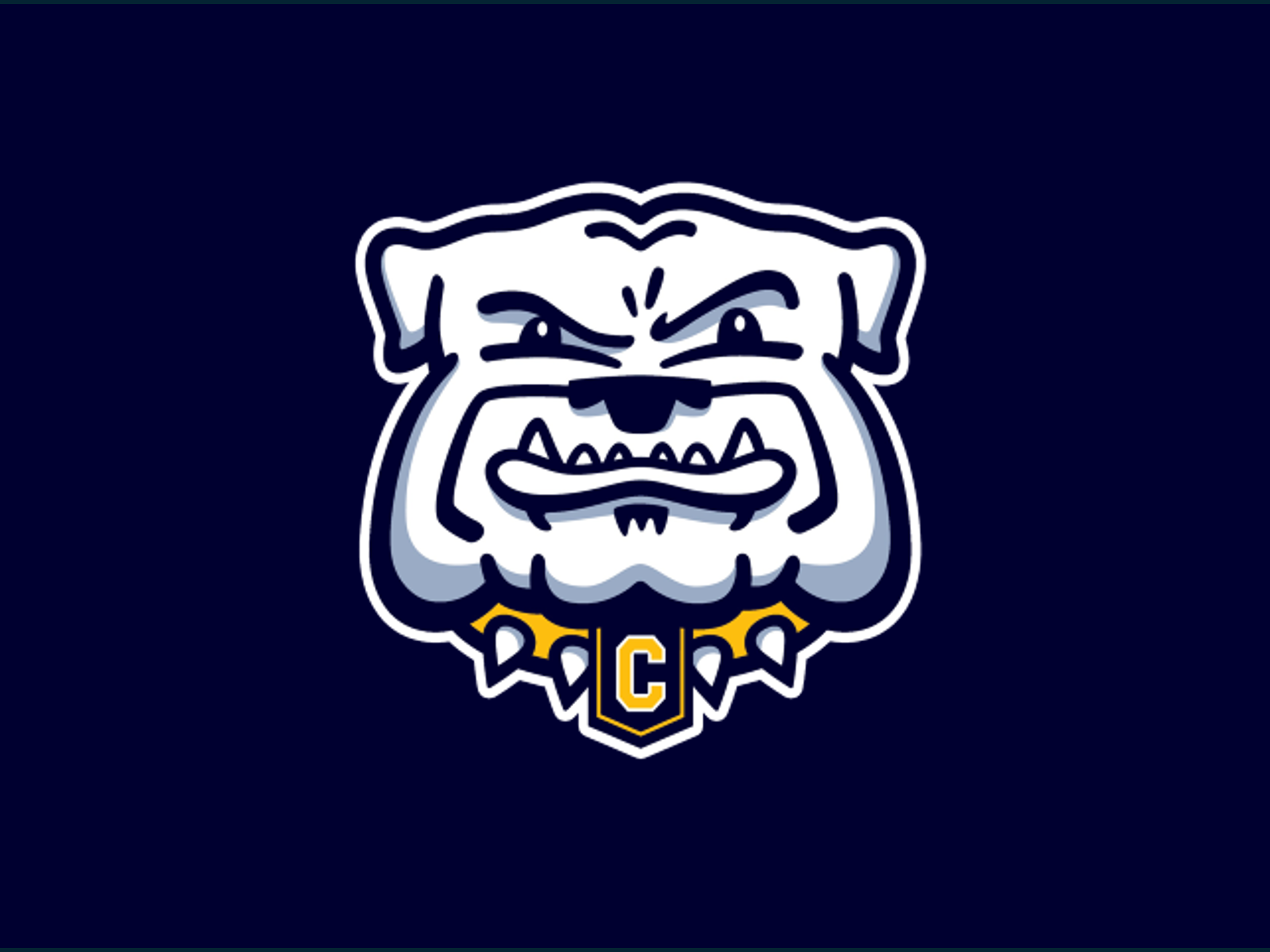Bulldog Sports Oct 12-18, 2025: Teams Shine Across the Board