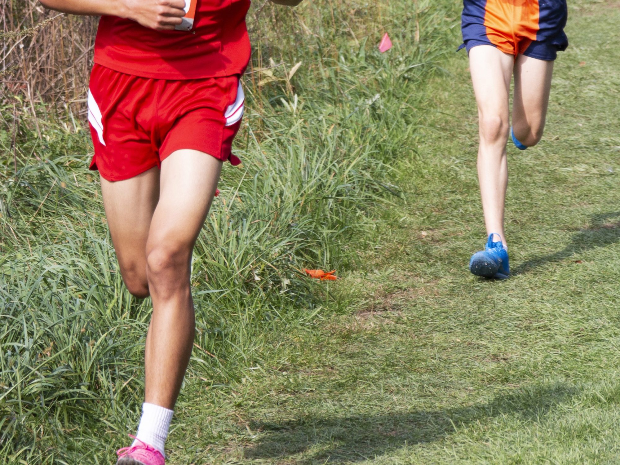 Dexter Cross Country Shines at Father Gabriel Richard Invitational