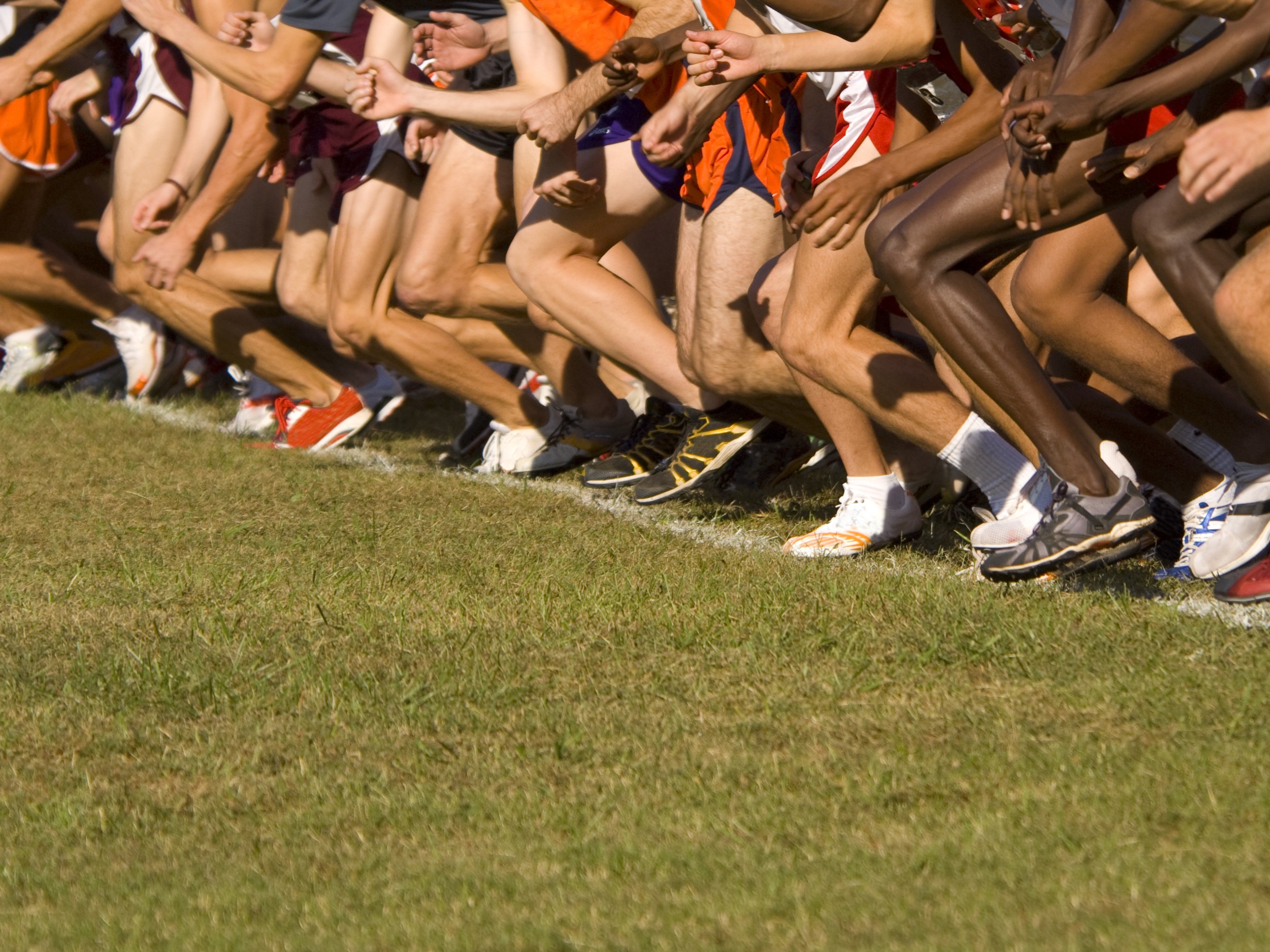 Chelsea Boys Finish Fifth, Girls’ 11th at Father Gabriel Richard Invitational
