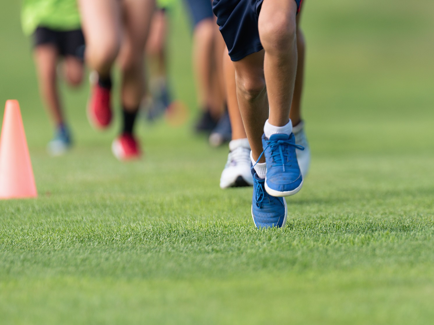 Saline XC Teams Place Well at Portage