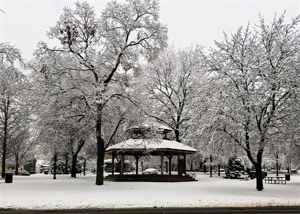 La Niña Expected to Shape Winter, Experts Say a Weak One for Washtenaw