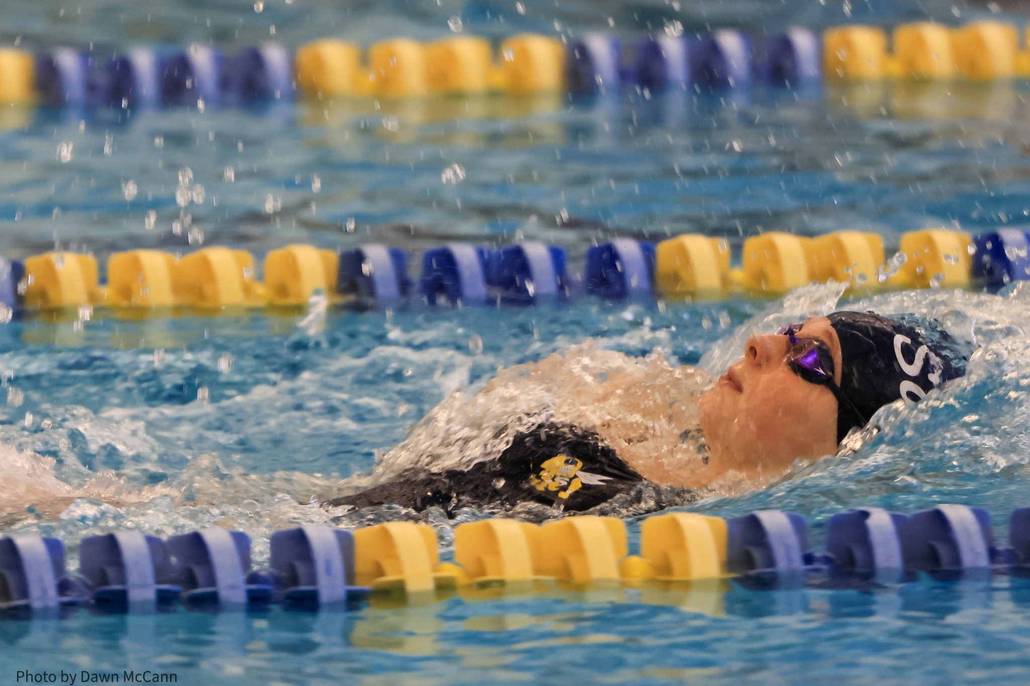 Saline Girls Swim and Dive 7th at Division 1 State Finals