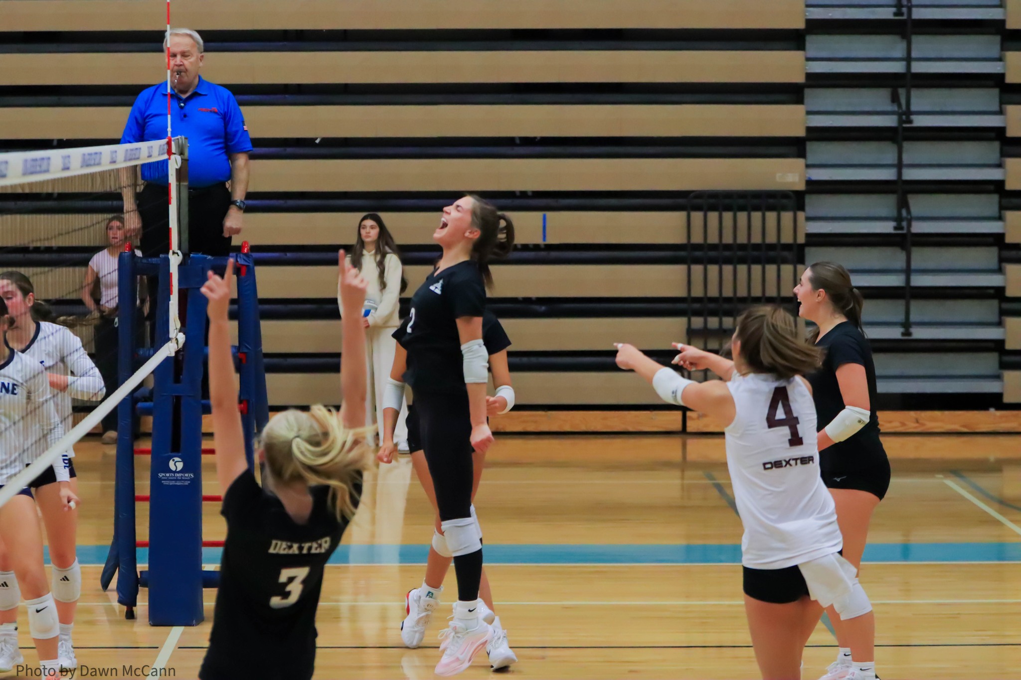 Dexter Volleyball Falls to Skyline in District Finals