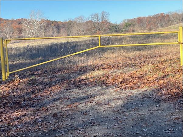 Lyndon Township connects with the DNR about Cassidy Lake