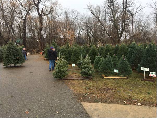 ‘Tis the Season for the Dexter Lions Christmas Trees Sale