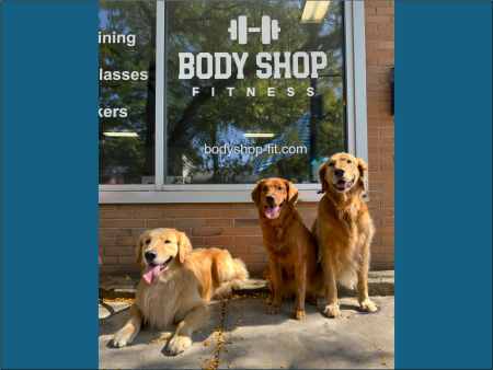 Saline’s Dogs Have Their Day — In Their Own Words