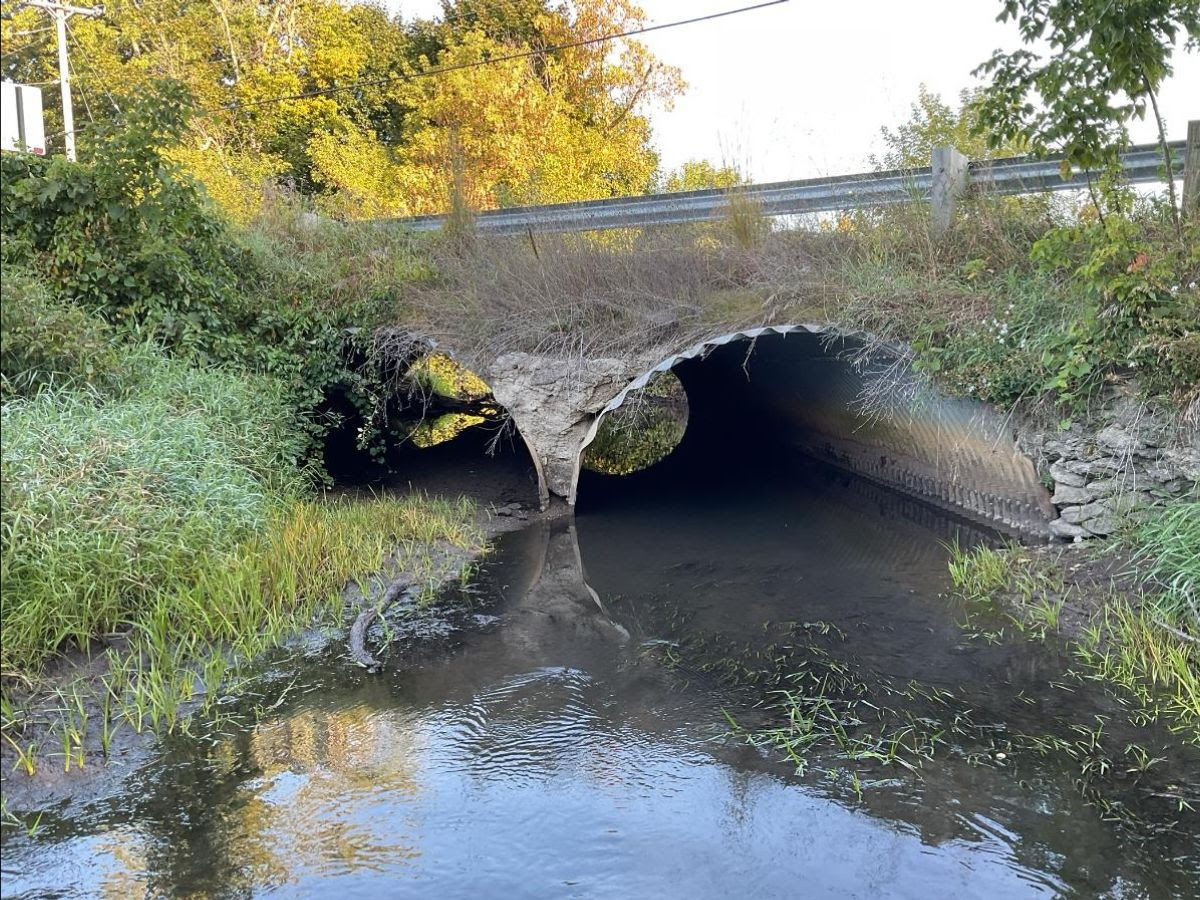 Sibley Road Bridge Replacement Set for 2027 in Sylvan Township
