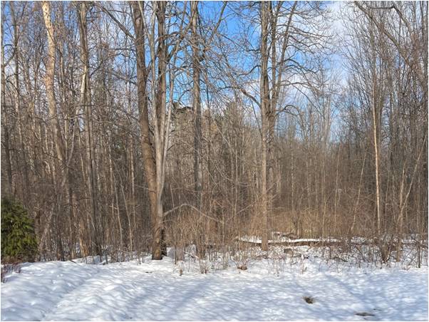 Scio Township is Planning to Preserve Land near the Polo Fields