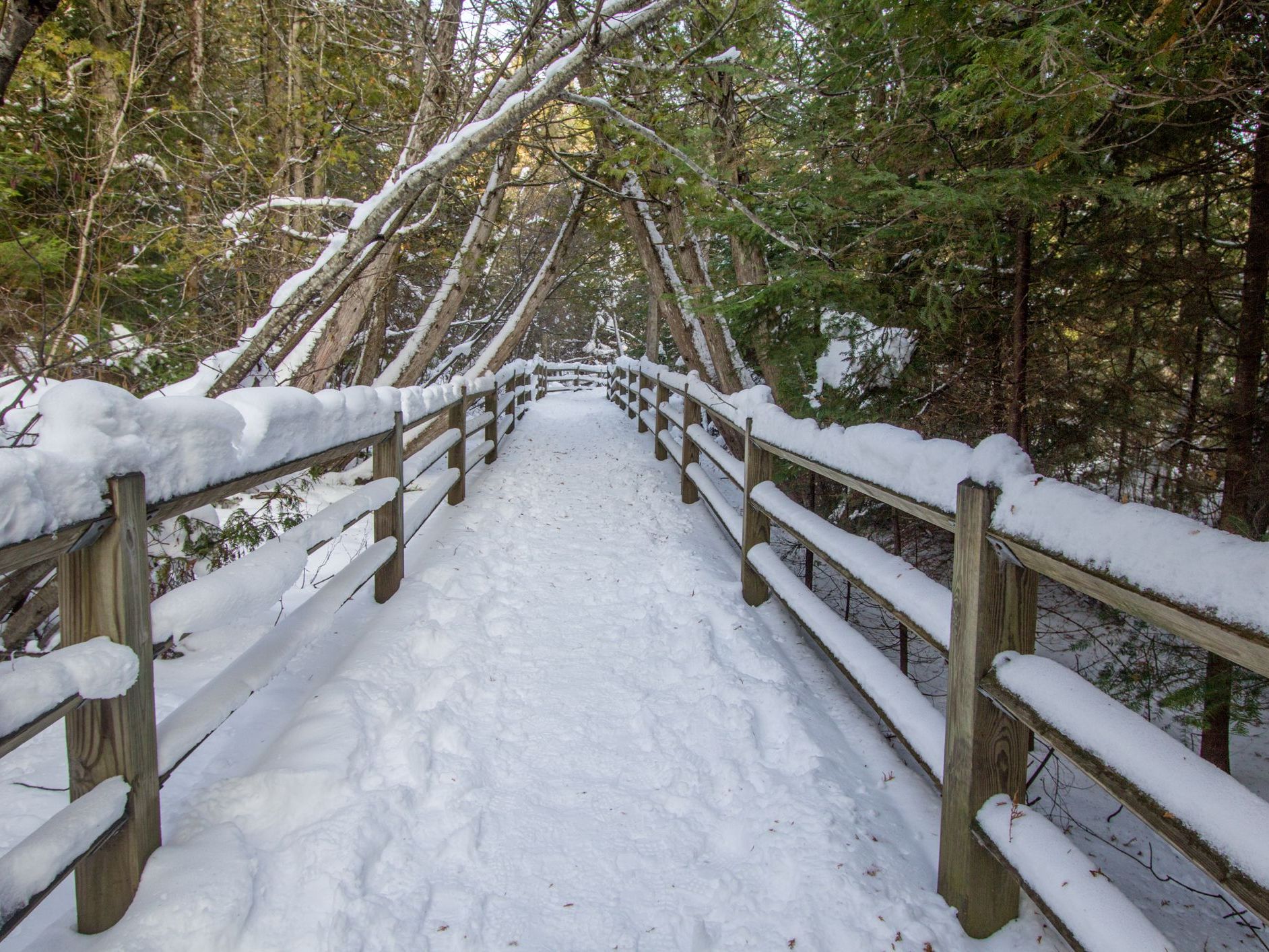 NOAA: Washtenaw May Shift Toward Milder Conditions by Spring