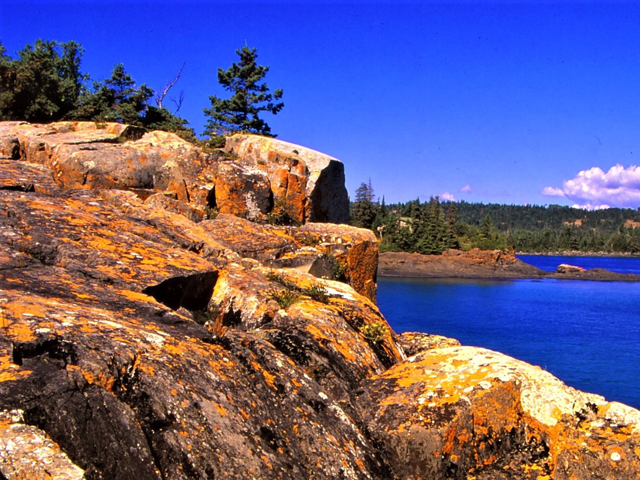 What Readers Clicked on Most in 2025 in the Sun Times News