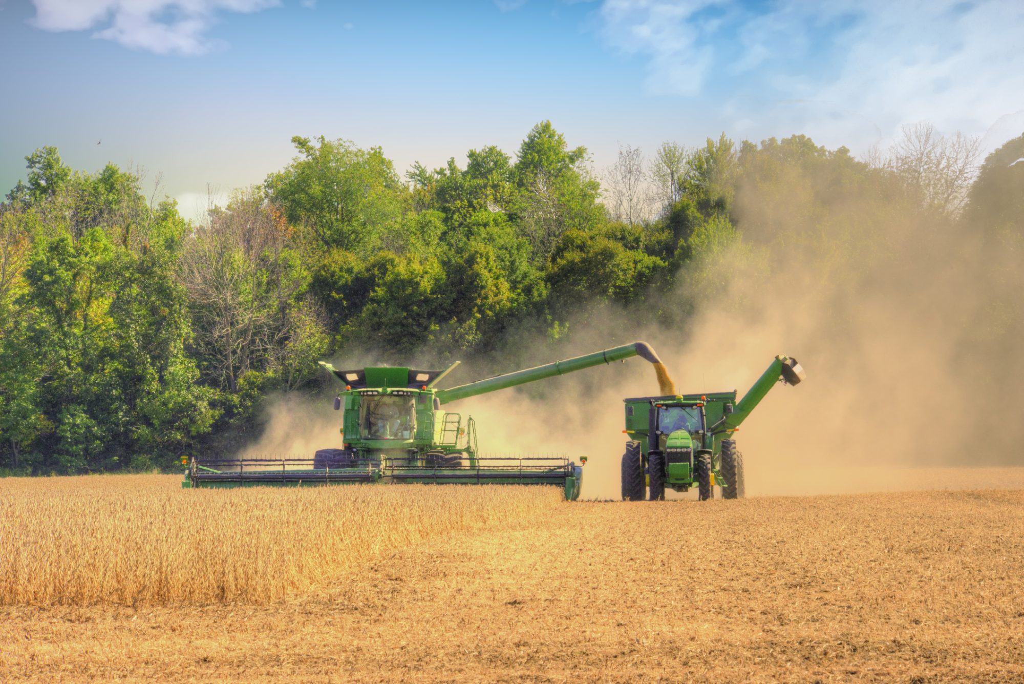 Michigan’s Wheat Harvest Set a Record. What’s That Mean for Grocery Prices?