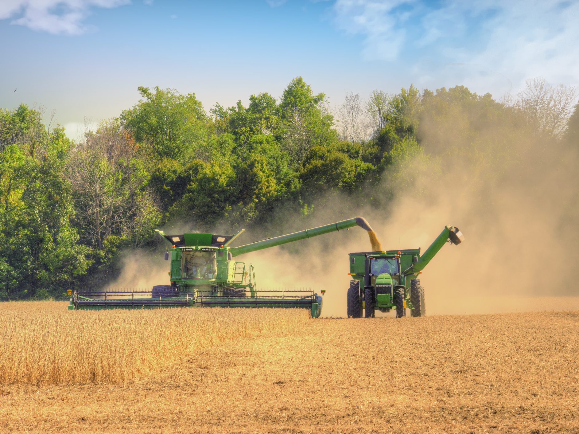 Michigan’s Wheat Harvest Set a Record. What’s That Mean for Grocery Prices?