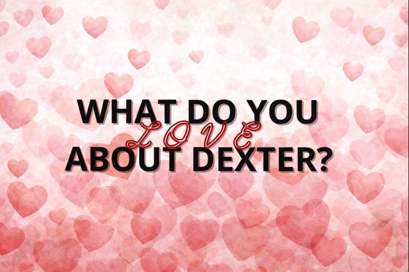 Artists Invited to Share What They Love About Dexter