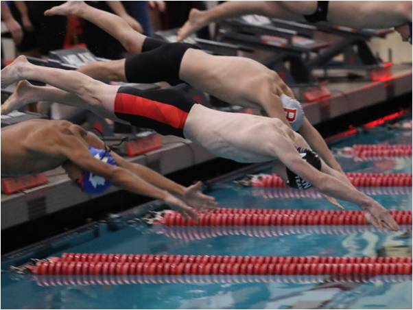 Milan Swim and Dive Put Up a Strong Effort Against Adrian and Bedford