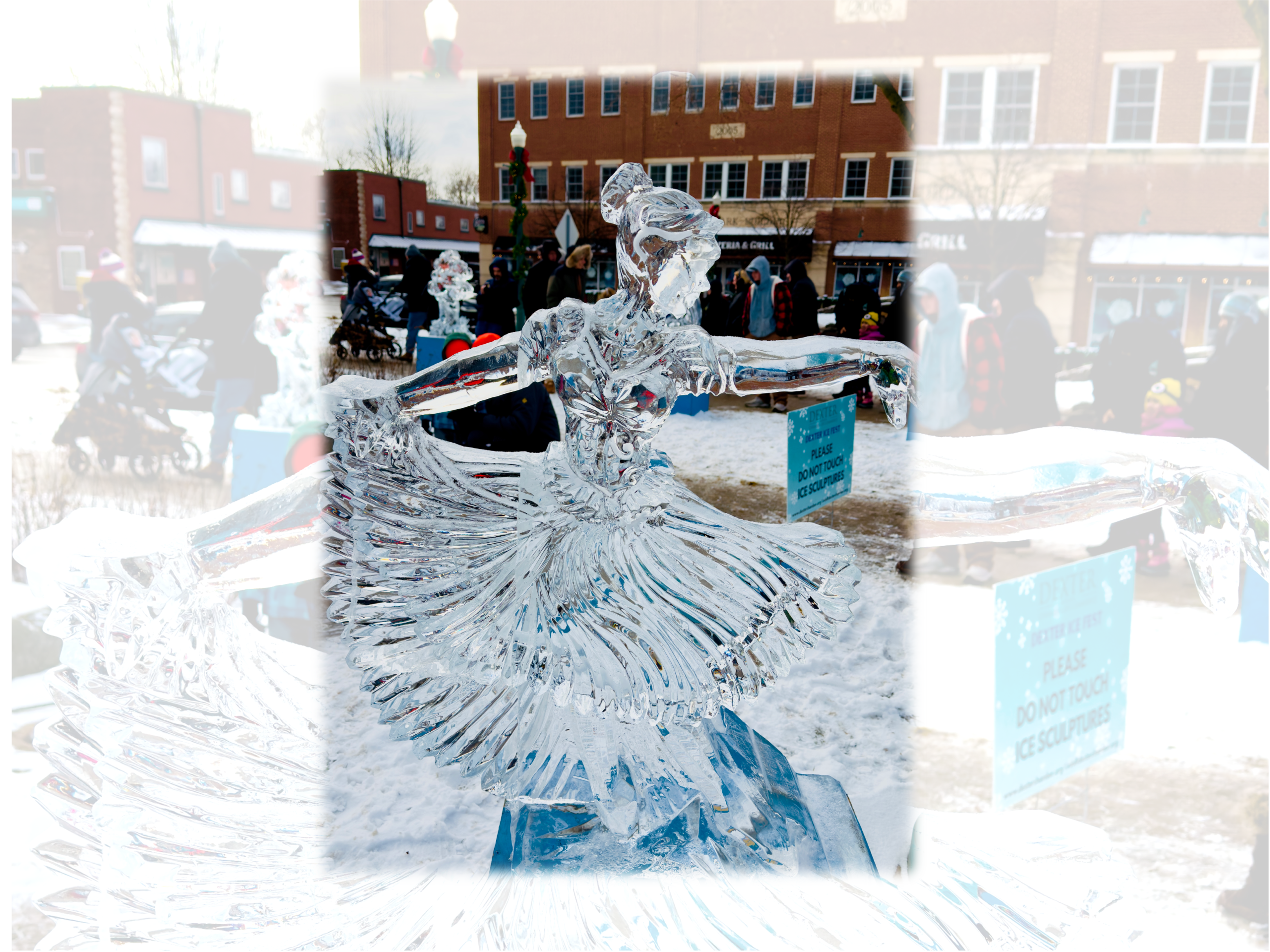 PHOTOS: Ice to Meet You, Dexter!