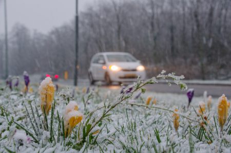 NOAA’s Spring Weather Outlook for Washtenaw