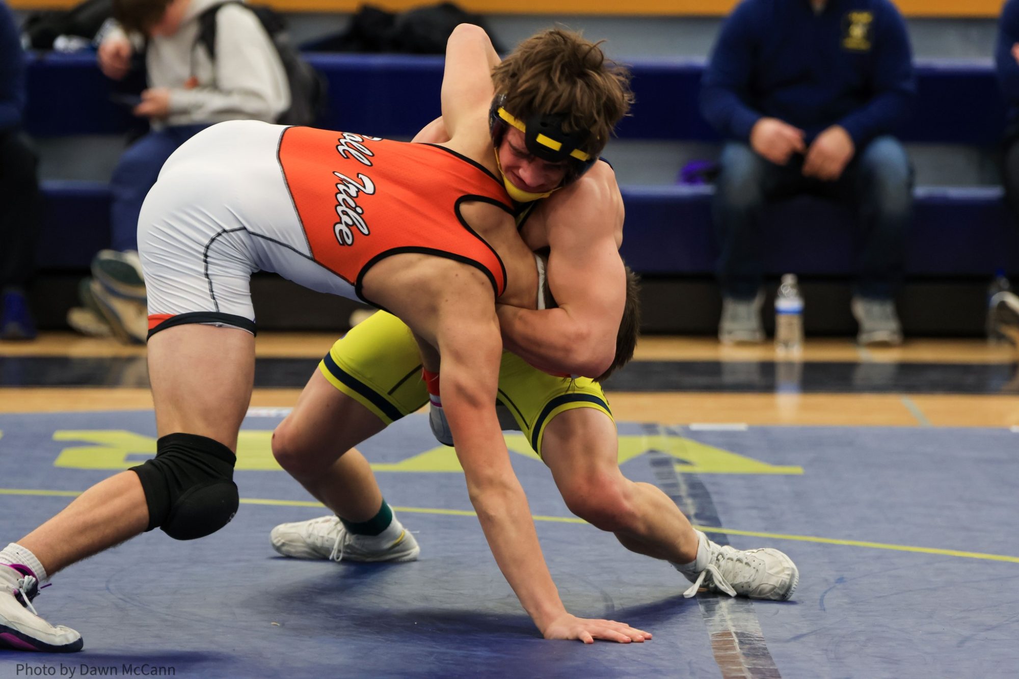 Five Saline Wrestlers Qualify for D1 Regionals