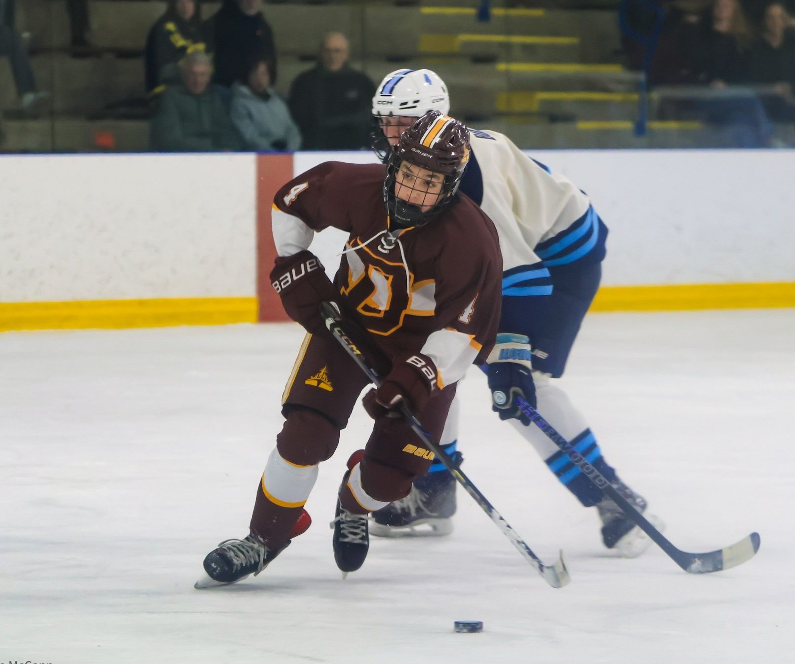 Dexter Hockey Advances to D2 Regional Final