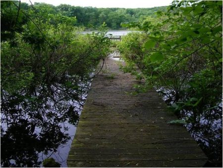 Lyndon Township and Others are Looking at a Fertilizer Ordinance