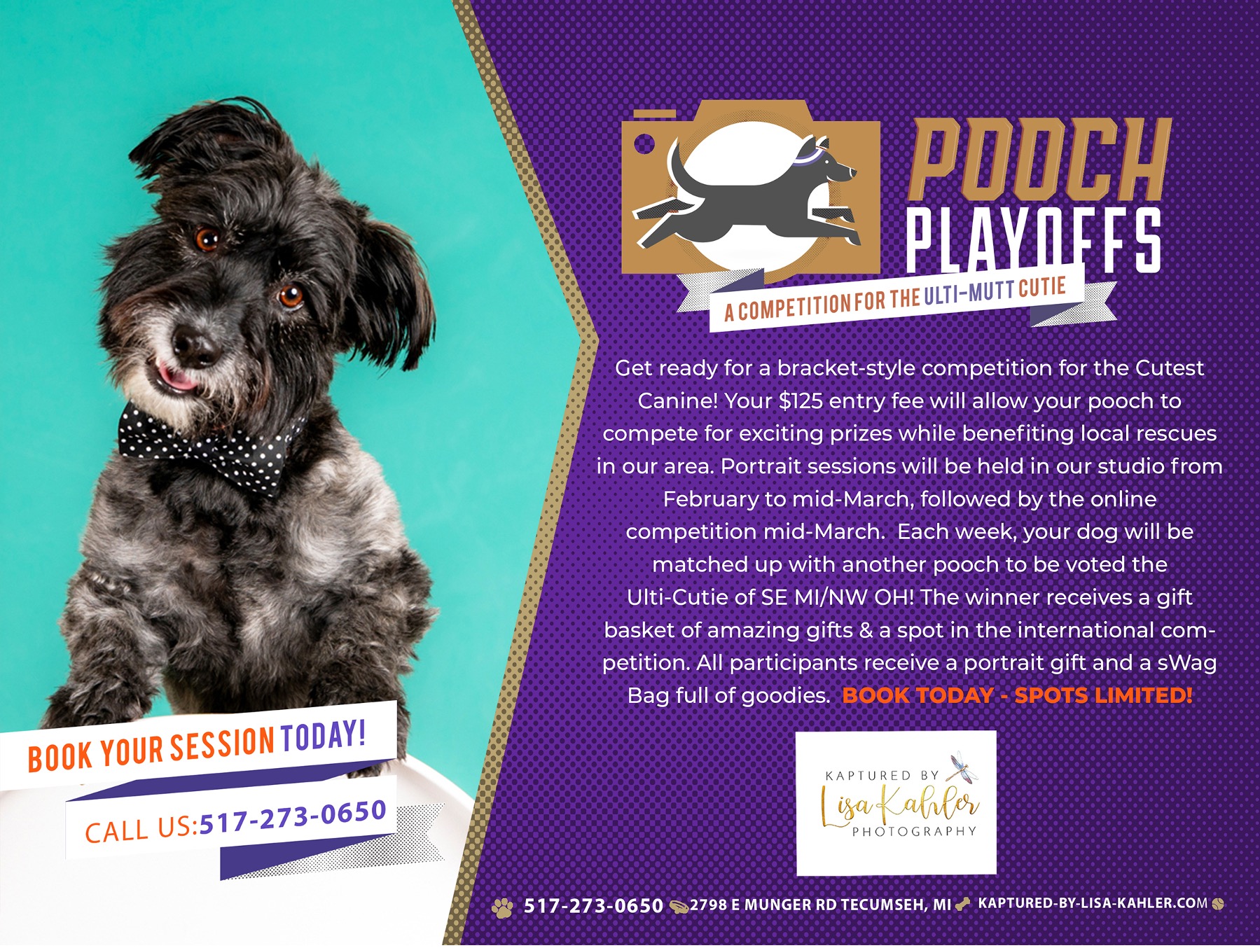 Photographer Unleashes 6th Annual Pooch Playoffs International Competition and Fundraiser