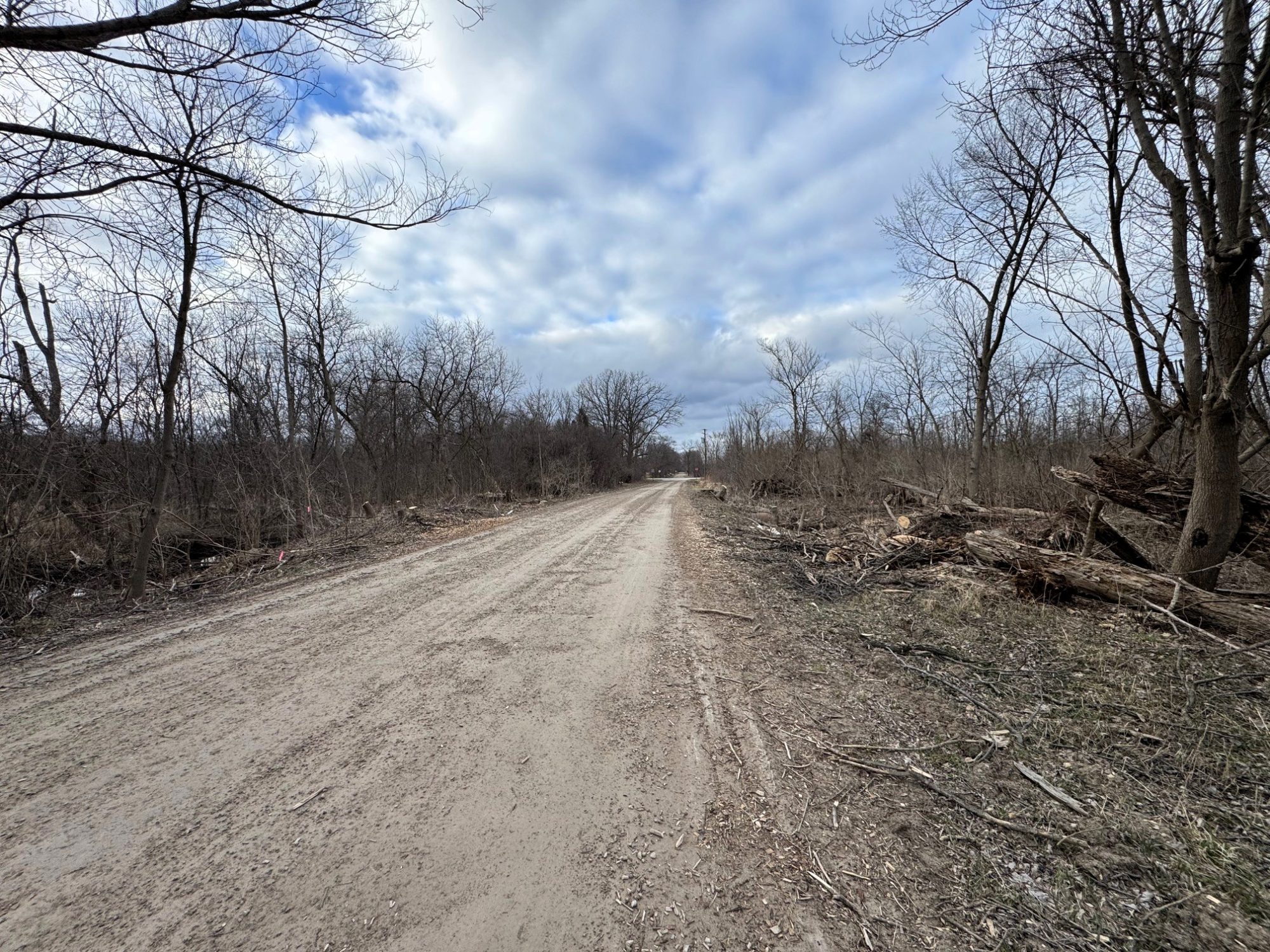 Why Trees Are Coming Down Along Zeeb Road