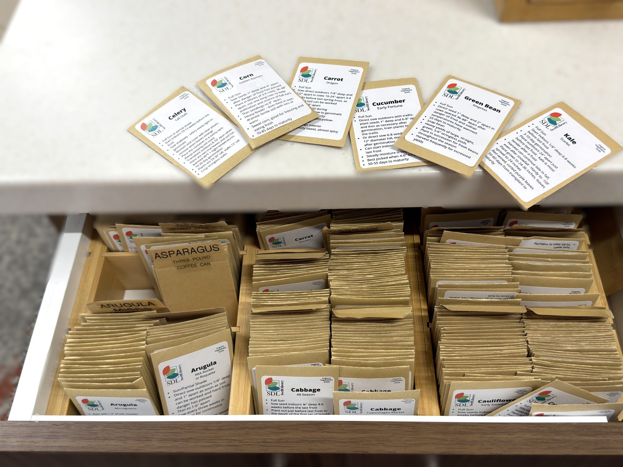 From Packets to Produce: The Seed Library Taking Root in Saline