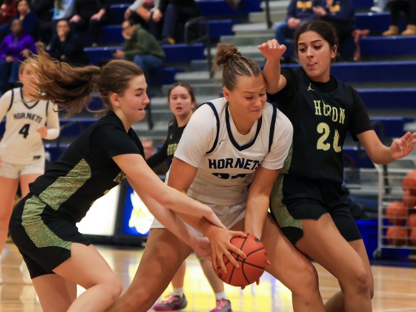 Saline Girls Claim D1 District Title