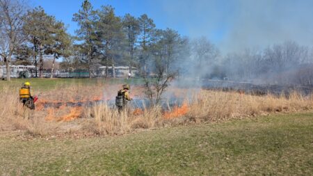 Washtenaw County Prescribed Burns Help Restore Natural Areas