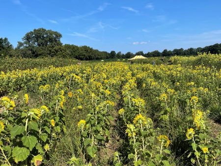 Southwest Washtenaw Land Protection Event Set for April 9