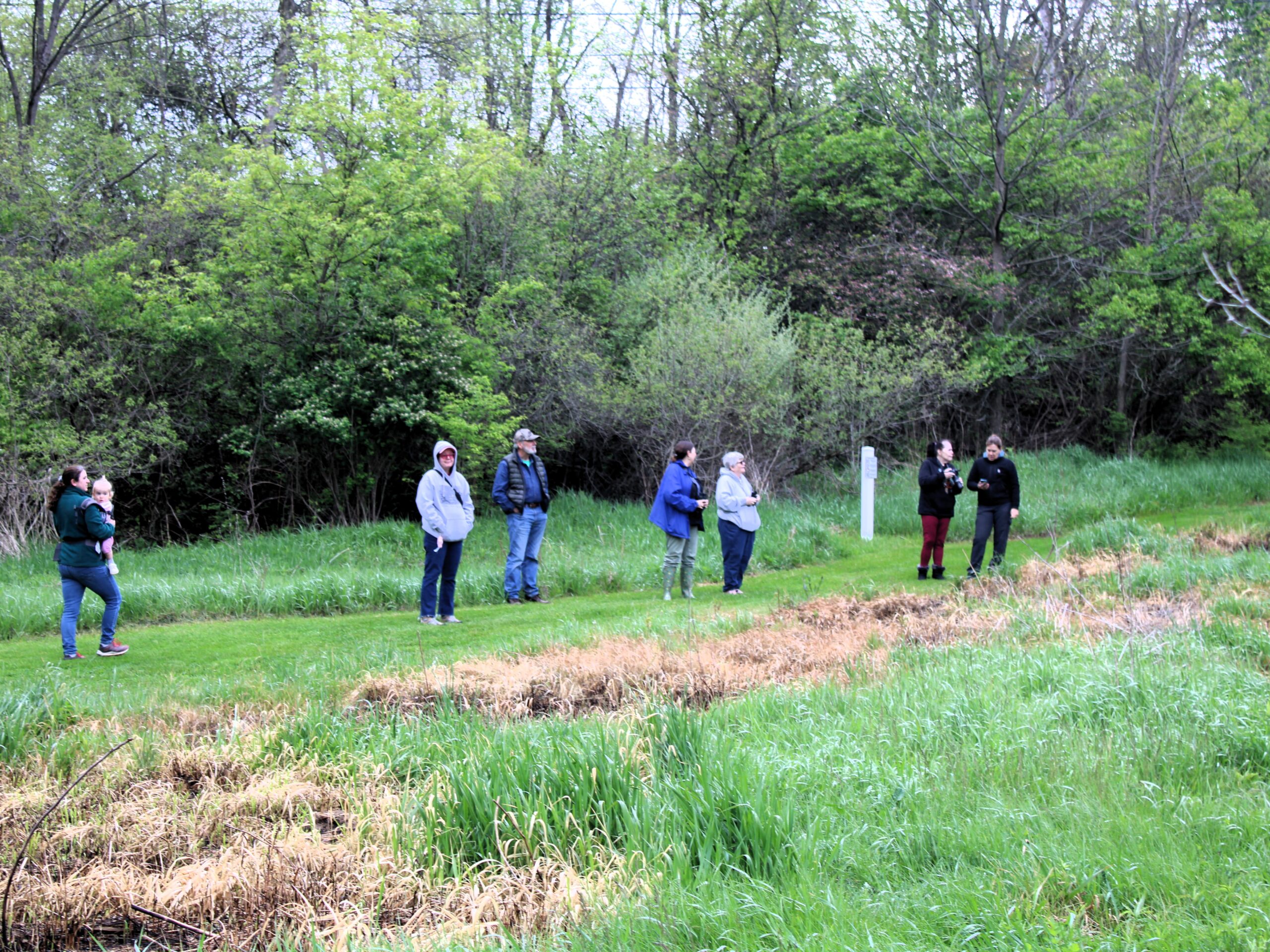 Bird Walk Spots 27 Species at Saline River Preserve