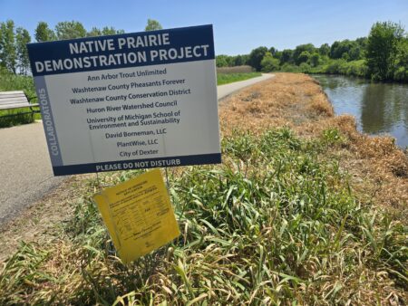 Dexter Park Restoration Project to Target Invasive Species
