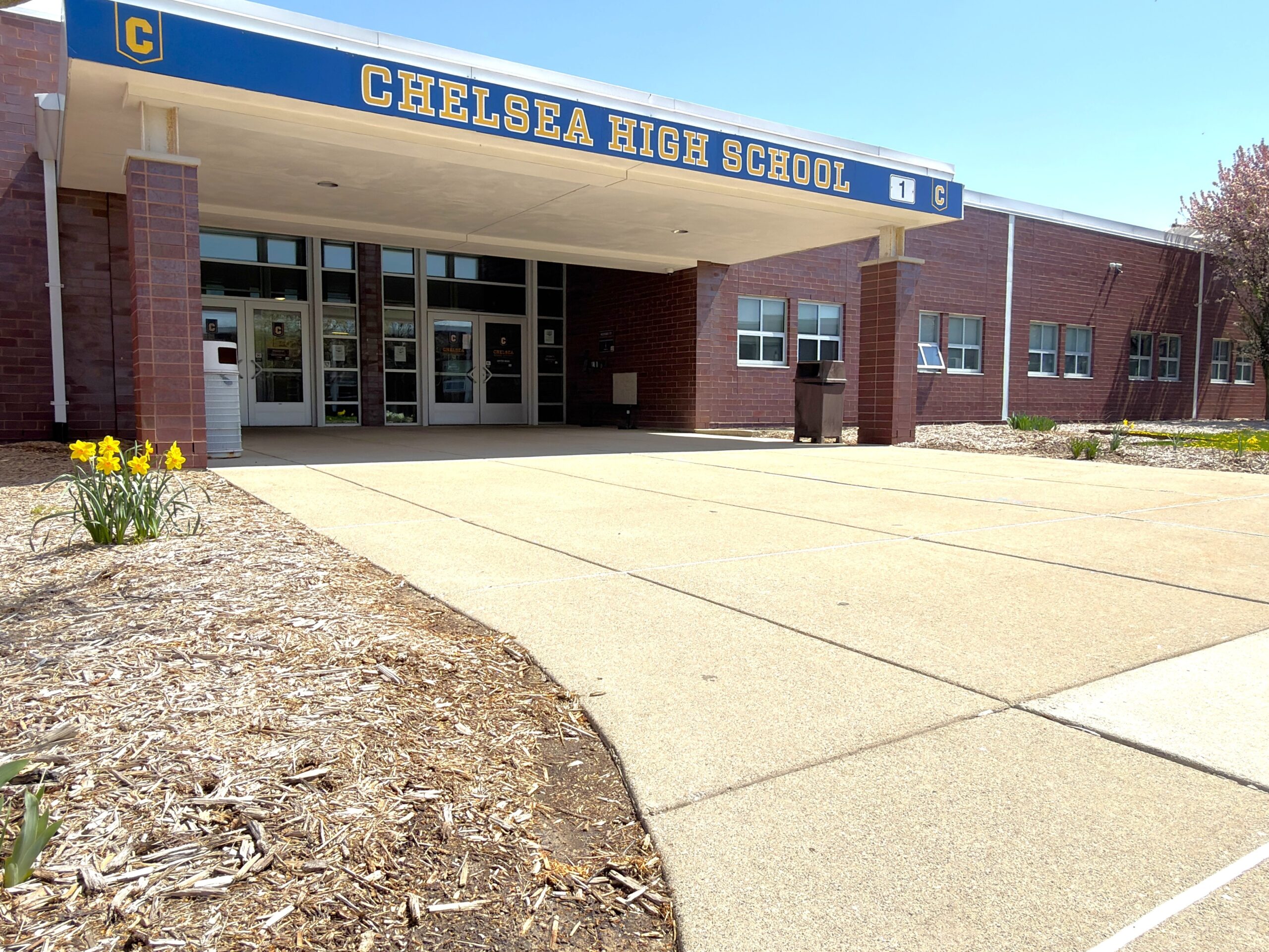 Chelsea Teacher Named Orchestra Teacher of the Year