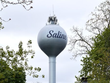 Saline Passes Series of May Resolutions