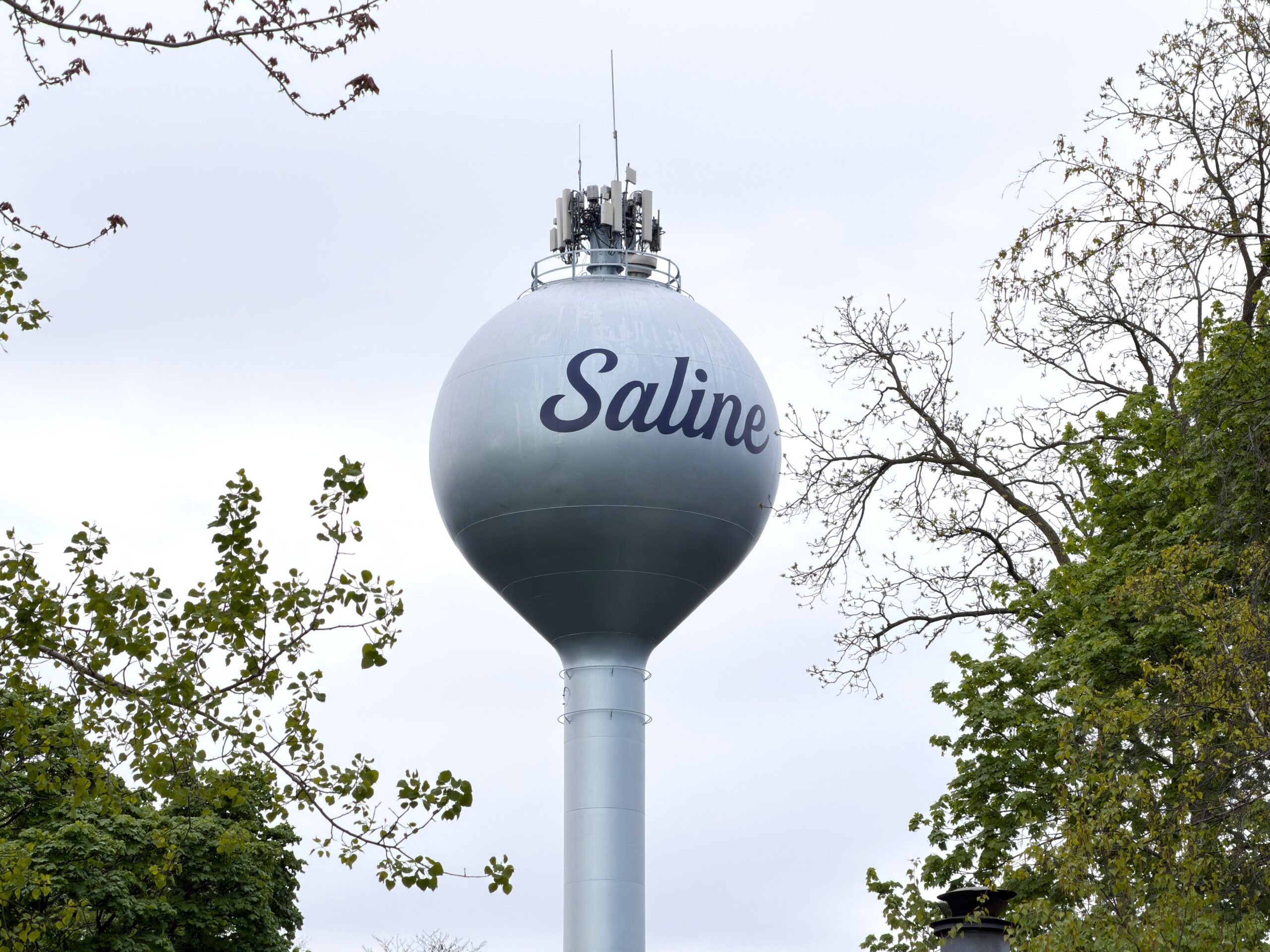 Saline Passes Series of May Resolutions