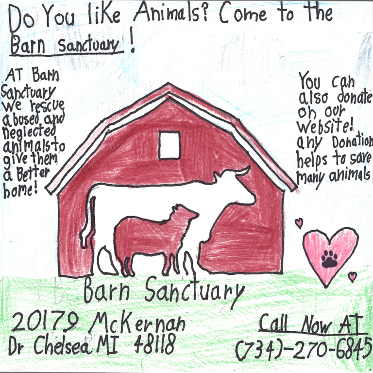 Student drawn ad for Barn Sanctuary