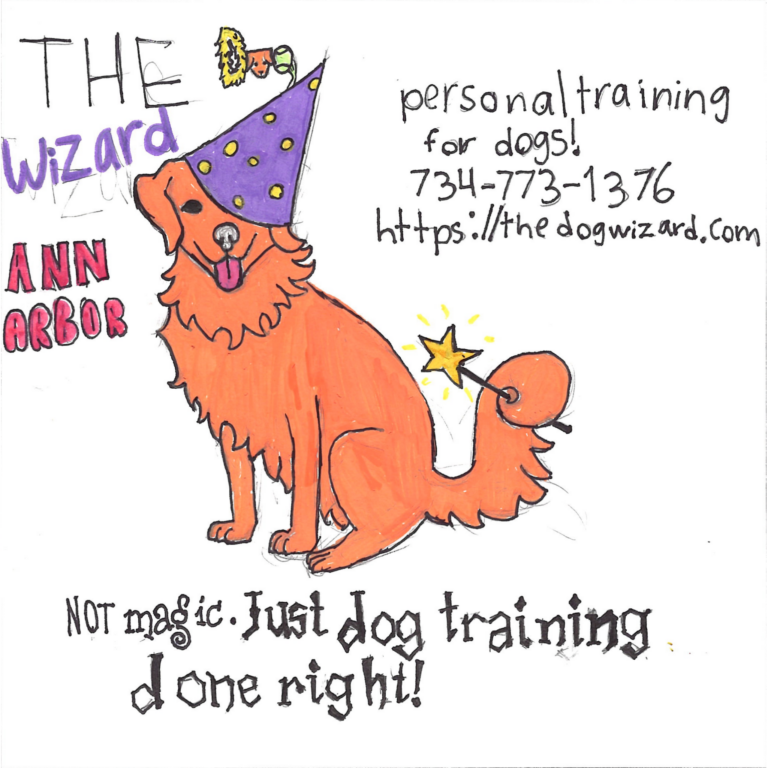 Student drawn ad for The Dog Wizard