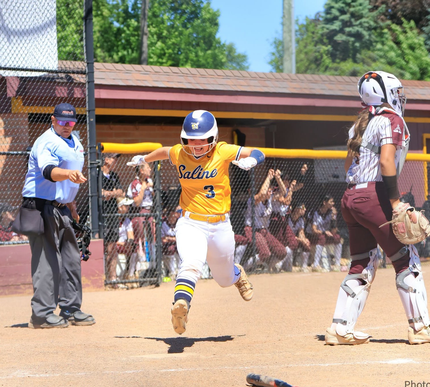 Saline Softball Claims Fourth Straight District Title