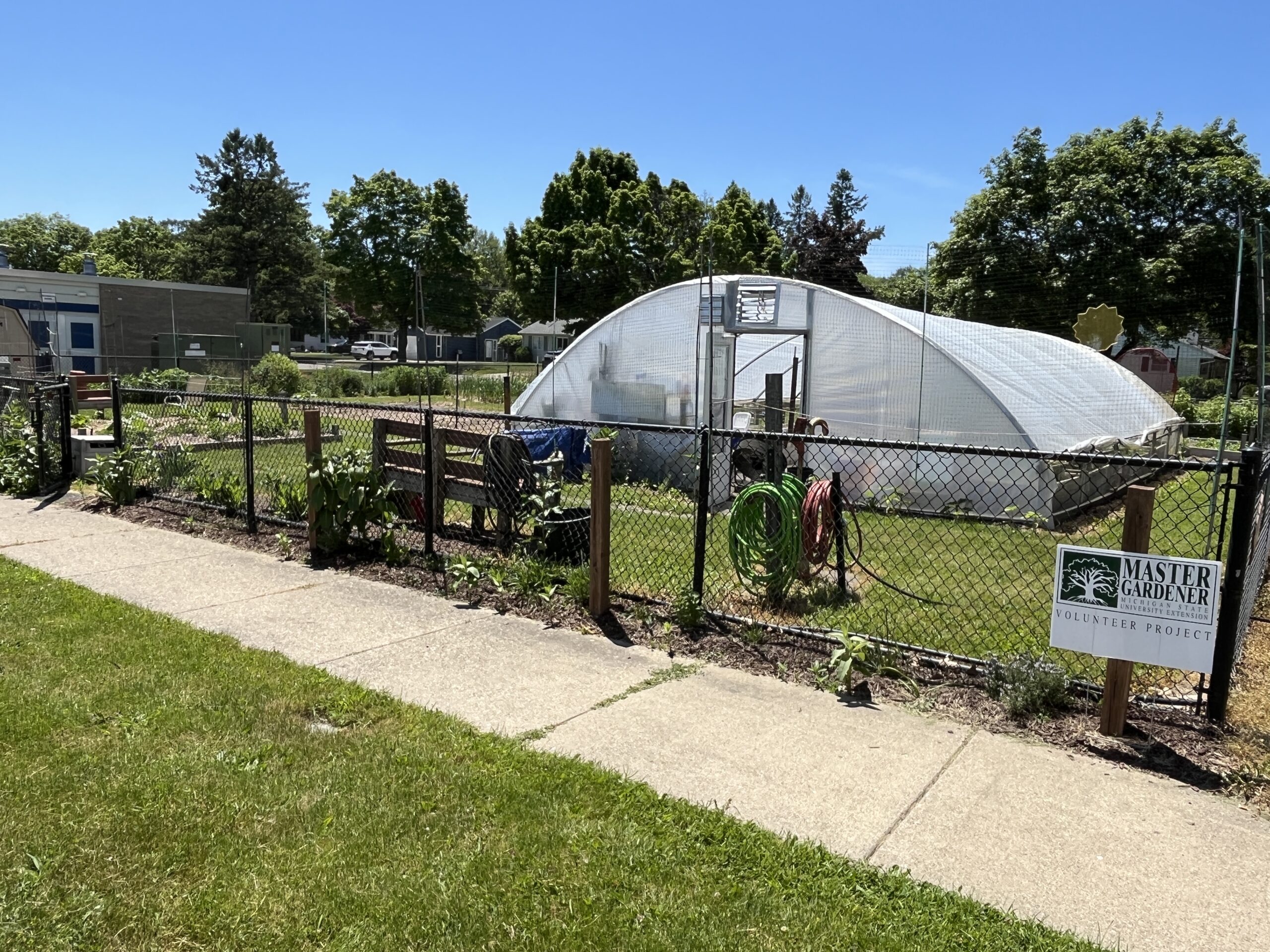 Fresh Food, Lasting Connections: Chelsea Senior Center Cultivates Healthy Aging