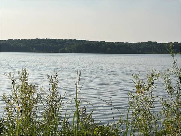Lyndon Township Looking at Renewing Special Assessment for Sugarloaf Lake